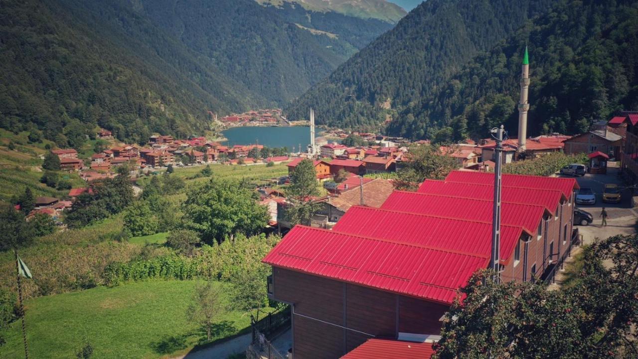 Horio Villa Uzungöl Esterno foto