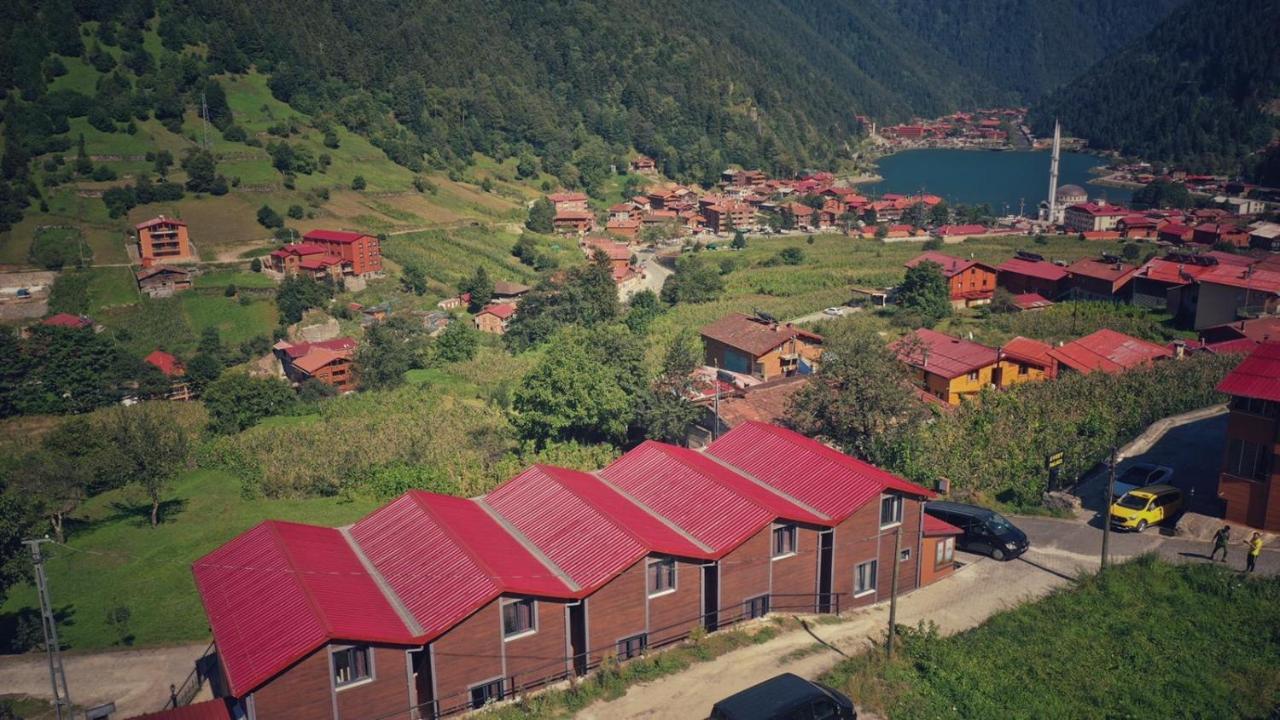 Horio Villa Uzungöl Esterno foto