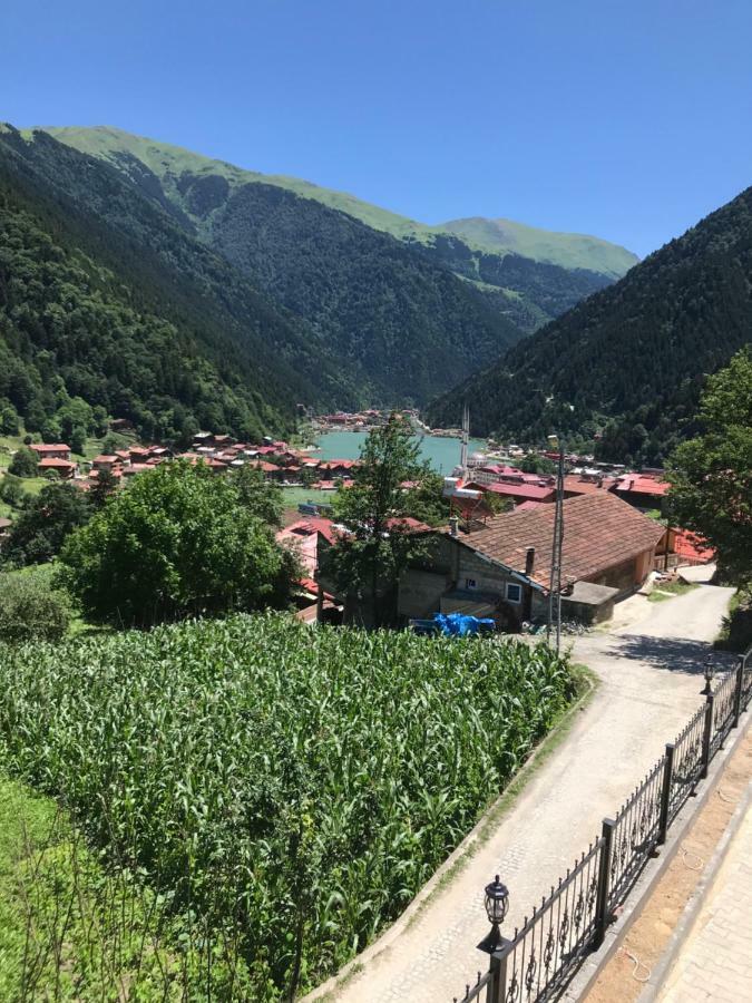 Horio Villa Uzungöl Esterno foto