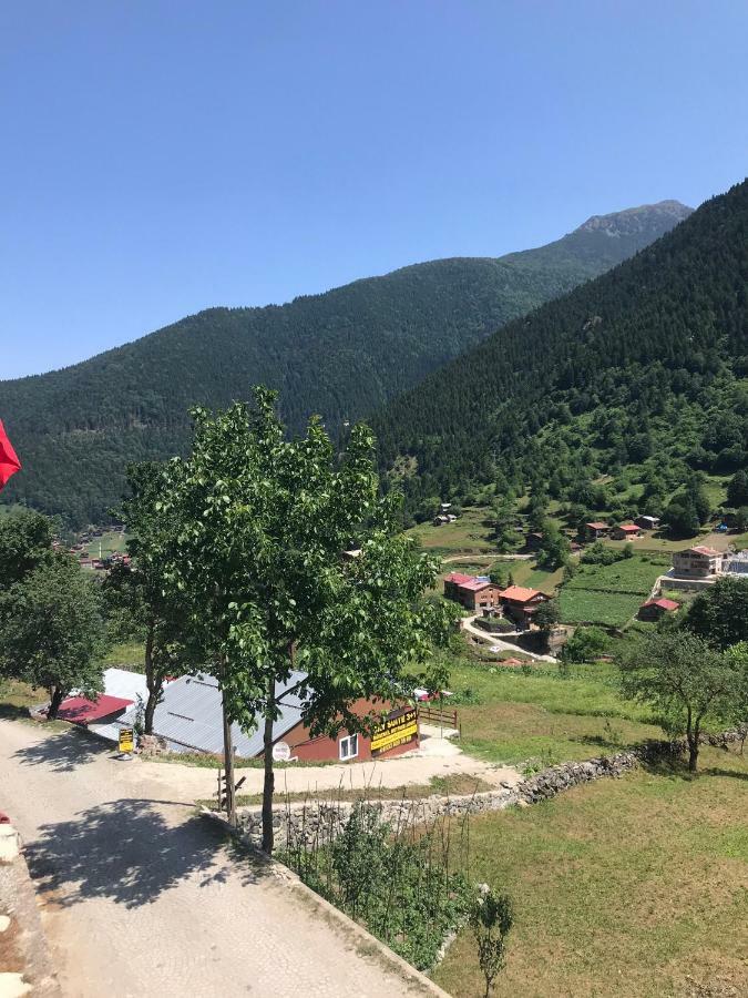 Horio Villa Uzungöl Esterno foto