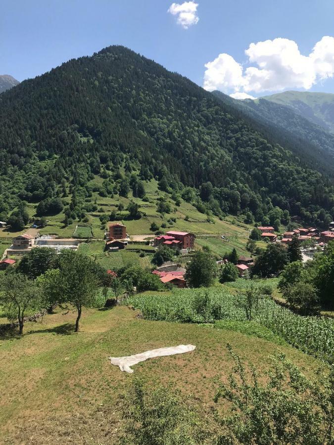 Horio Villa Uzungöl Esterno foto